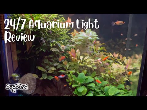 24/7 Planted Aquarium Light - Seaoura - Review Unboxing and reviewing the Seaour 24/7 Aquarium Light. 

Check out this light on Amazon_ 
https_//ww