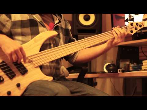 Meshuggah - 'Do Not Look Down' - Part Bass Cover using Darkglass Electronics B7K + Dingwall ABZ