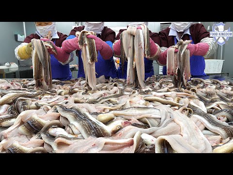 평소에 보기 어려운! 바다 장어구이 대량생산 현장 / Grilled Eel Mass Production - Korea Seafood Factory