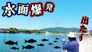動画サムネイル