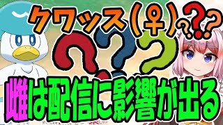 【切り抜き】クワッス（♀）千羽「？？？？」千羽「雄か雌かで配信のクォリティに影響が出る」【千羽黒乃】ポケモンSV