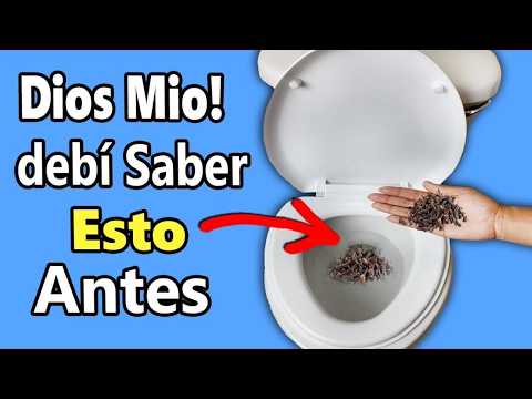 Coloca esto en tu INODORO🚽 y dile adiós al Mal OLOR de tu Baño para SIEMPRE😵