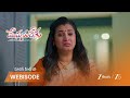MEGHASANDESAM | మీరా కన్నీళ్లు..     కృష్ణ ప్రసాద్                 ఓదార్పు