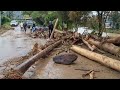 Deadly landslide and flash floods hit Indonesia’s Sumatra island  - 01:01 min - News - Video