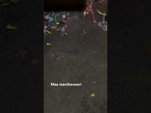 #maa is coming#kalahandi #explore #maa #manikeswari #bhawanipatna. #🌺🪔🙏