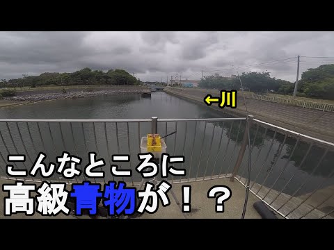 ちゃんねるよしゅあの最新動画 Youtubeランキング