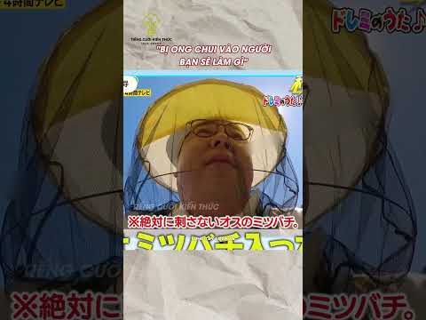 Nếu bị ong chui vào người thì bạn sẽ làm gì #tomtatnhanh #haihuoc #funny #giaitri #shorts