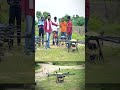 అగ్రి డ్రోన్ స్ప్రే  ఒక్క రోజులో 84 ఎకరాలకు మందు కొట్టిన | Agriculture Spraying Drones | V6 Shorts