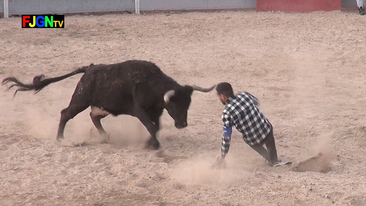 Vaquillas Raul Monferrer - Nules (12-04-2019) Castellon Bous Al Carrer Vaquillas Raul Monferrer - Nules (12-04-2019) Castellon Bous Al Carrer