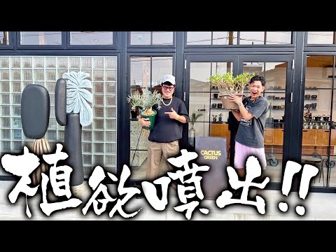 【前編】2周年を迎えたカクタスグリーンはやっぱり凄かった!?