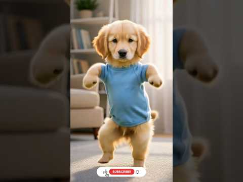 🤯 T-shirt Puppy Shows Off Dance Moves! You Can't Watch Without Smiling! 😂 #shorts