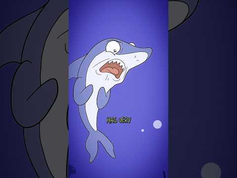 "The Blobfish Is NOT What You Think 😳🐟"#Blobfish