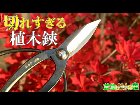 【植木鋏】切れる！切れすぎる！内緒にしておきたかった植木鋏！Japanese best pruning shears