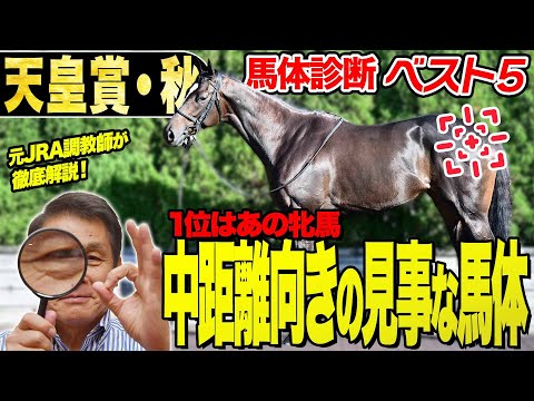 【天皇賞・秋2025】中村均元調教師が馬体診断ベスト5を発表 中距離向きの見事な馬体!復活を狙うあの牝馬が1位《東スポ競馬》