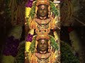 Blessings of Devotional Harmony 🙏 Jai Shree Ram  - 01:00 min - News - Video