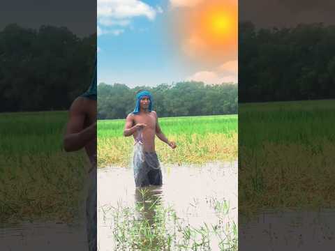 गांव वाला तेला गईल बा 🤣 #raviraj #comedy #dehati #shorts #trending #2025