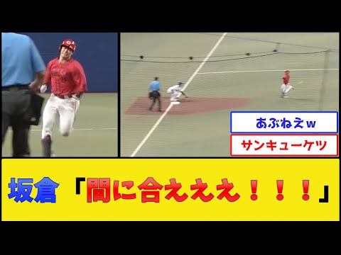 カープ坂倉、積極走塁で三塁を狙った結果www【広島東洋カープ】【プロ野球なんJ 2ch プロ野球反応集】