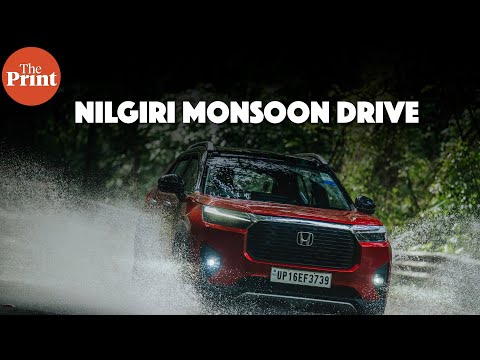 Driving through the Nilgiris in Kerala and Tamil Nadu during a drive of discovery