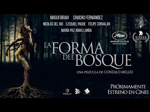La forma del bosque'