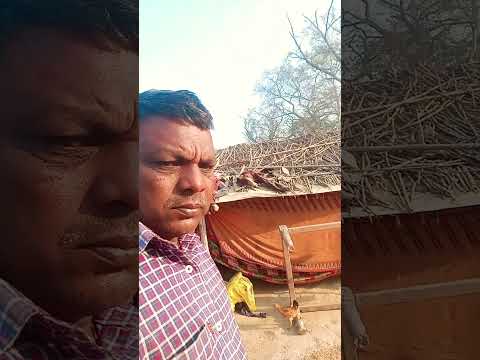 पापा हमारे घर की सान हैं #song #love #hindisong #reels #rajkumardialog #indianactor