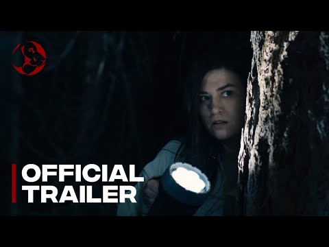 Stranger in the Woods'