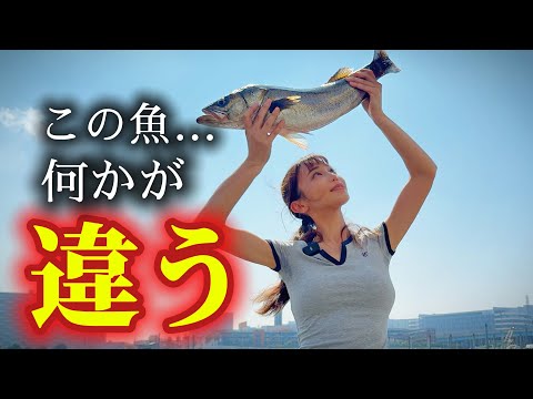日本で初めて㊙️㊙️したレジェンド漁師に会いにいきました。