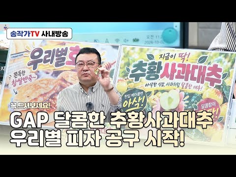 사내방송 261002 <strong>GAP인증</strong> 생과이로 먹는 추황사과대추! 특대 1kg,2kg! 도매가의 50% 가격으로 달콤 팡팡 아삭!/돌아온 우리별 10인치피자 &amp;꿀 호떡 씨앗 호떡