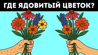 16 загадок, которые научат вас подмечать все детали