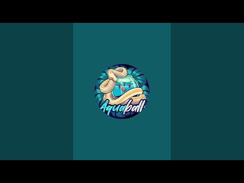 aquaballs is live! 
