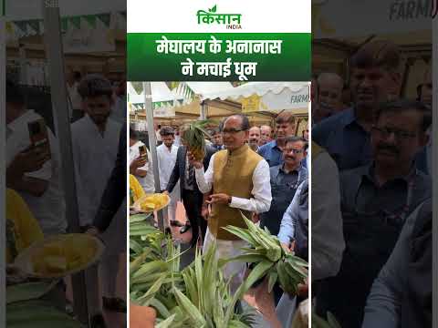 Shivraj Singh Chouhan हुए अनानास के दीवाने, मेघालय के अनानास ने मचाई धूम। Kisan India