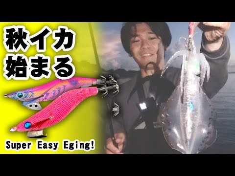 誰でも釣れる！エギングのやり方 | How to Eging