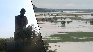 How Insecurity, Floods, Climate Change Hinder Agriculture In Nigeria | Earthfile