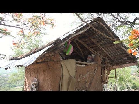 Traviezos de la Sierra - Los Tiempos han cambiado, y otra vez en el rancho