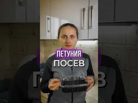 Как Правильно Сеять Петунию? 🌸