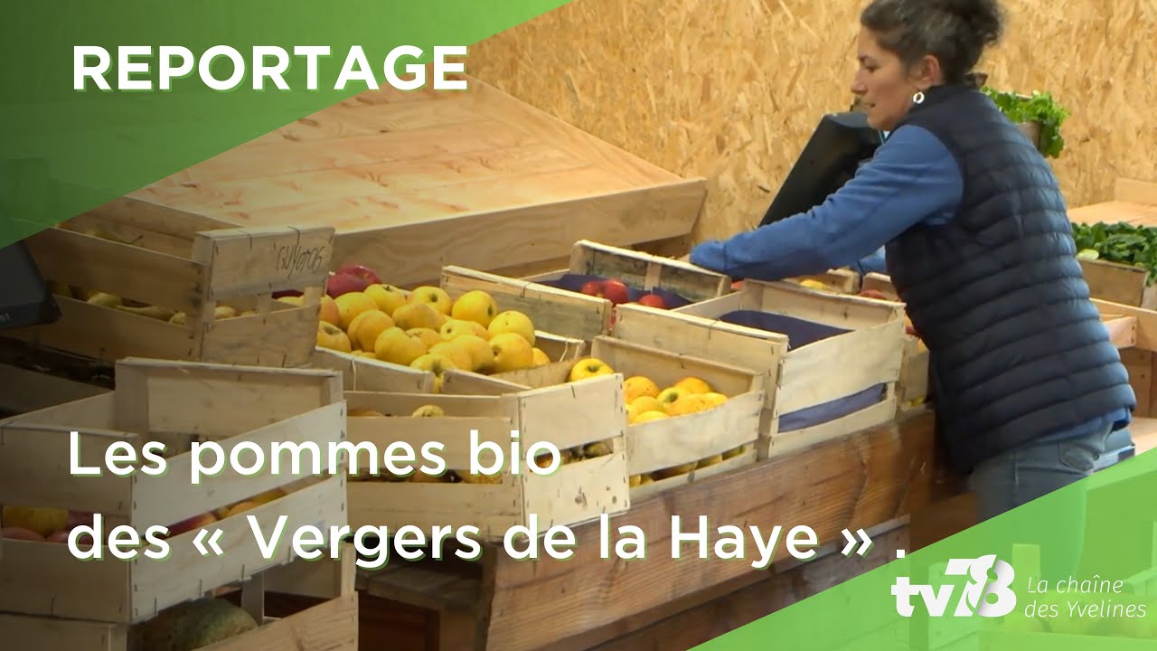Des pommes biologiques et locales aux « Vergers de la Haye » à Villepreux