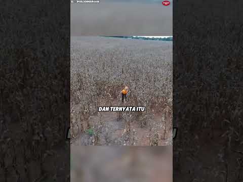 Cowok itu Nggak Sengaja Merekam Penemuan yang Menyeramkan