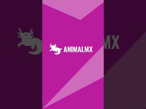 Animal MX evoluciona. Cambiamos el logo, porque las tendencias no paran. 💬 #GrupoAnimal