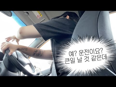 성인된지 10년만에 운전면허 따는 브이로그 | 직장인 개발자 백수 브이로그