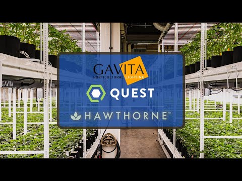 Gavita, Quest and Energy Rebates