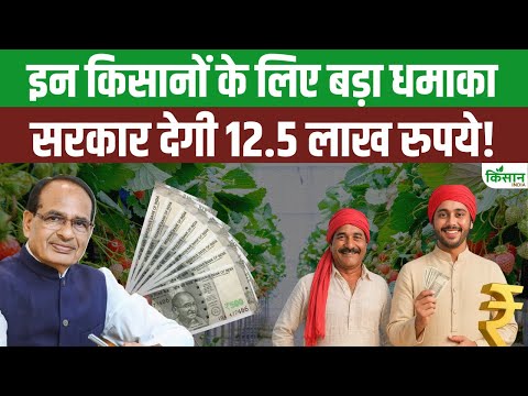 MP News: क्या है Polyhouse Yojana, किसानों को कैसे मिलेंगे 2.5 लाख रुपये?#cmmohanyadav #shivrajsingh