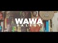 Wawa Salegy Ft. Serge Beynaud - Fusion - clip officiel