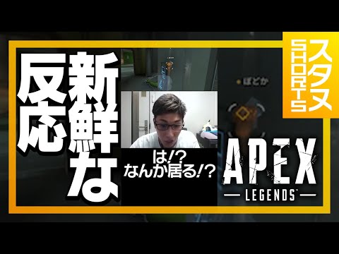 本気でミラージュに騙されるスタヌ #Shorts【ApexLegends】