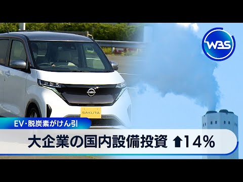 経済金融の動画サムネイル - 大企業の国内設備投資 ↑14％　EV･脱炭素がけん引【WBS】