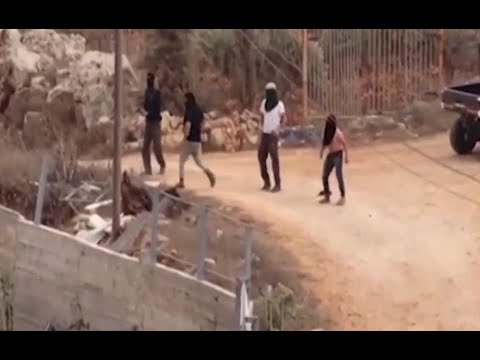 Siedlergewalt im Westjordanland: Wo Israelis töten und Soldaten Olivenbäume annektieren | ntv