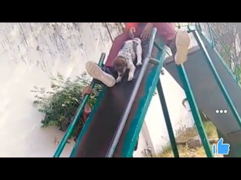 vah Baithe Mauj kar di kya kar di bet#hindustan