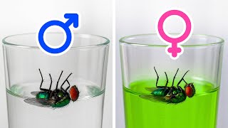 Факты, которые заставят вас сказать «Хм» и потом гуглить целый час