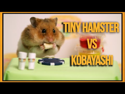 Необичен натпревар во јадење: Кобајаши против Хрчакот