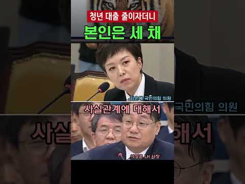 '온 세상이 다 아는데 사장님만 모른 척' 김은혜, 대통령 집 17억 근저당 꺼내자… 청년 대출 줄이자던 LH 사장 '정확하게 모르겠네요'