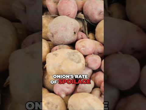 Why You Should Never Store Onions with Potatoes #onions #storage #food