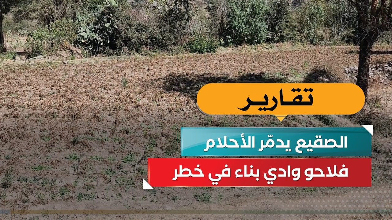 قناة السعيدة